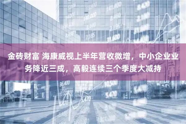 金砖财富 海康威视上半年营收微增，中小企业业务降近三成，高毅连续三个季度大减持