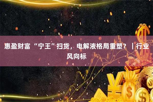 惠盈财富 “宁王”扫货，电解液格局重塑？｜行业风向标
